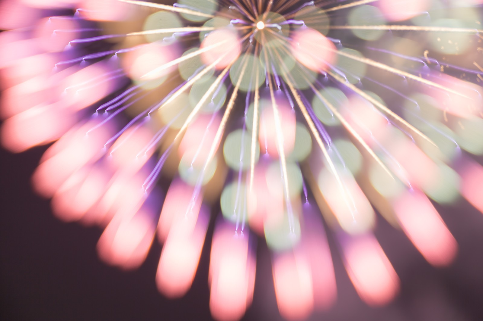 新定番シルエットのテーパードパンツ。大人キレイに着こなすポイント！