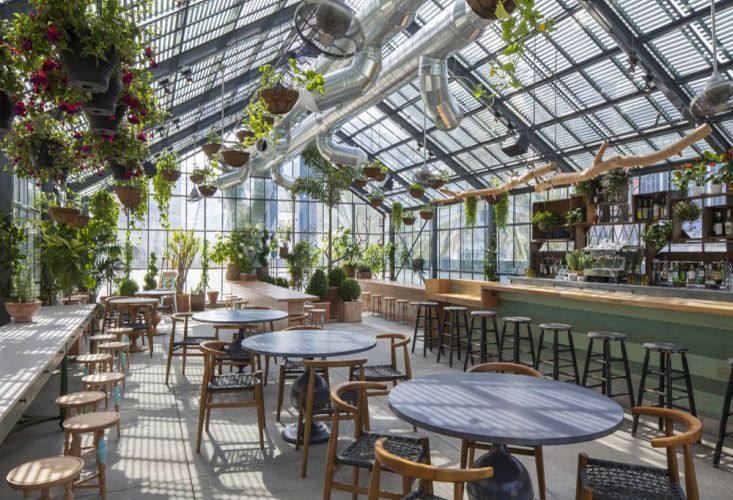 cafetabi | スキッとワイドパンツ