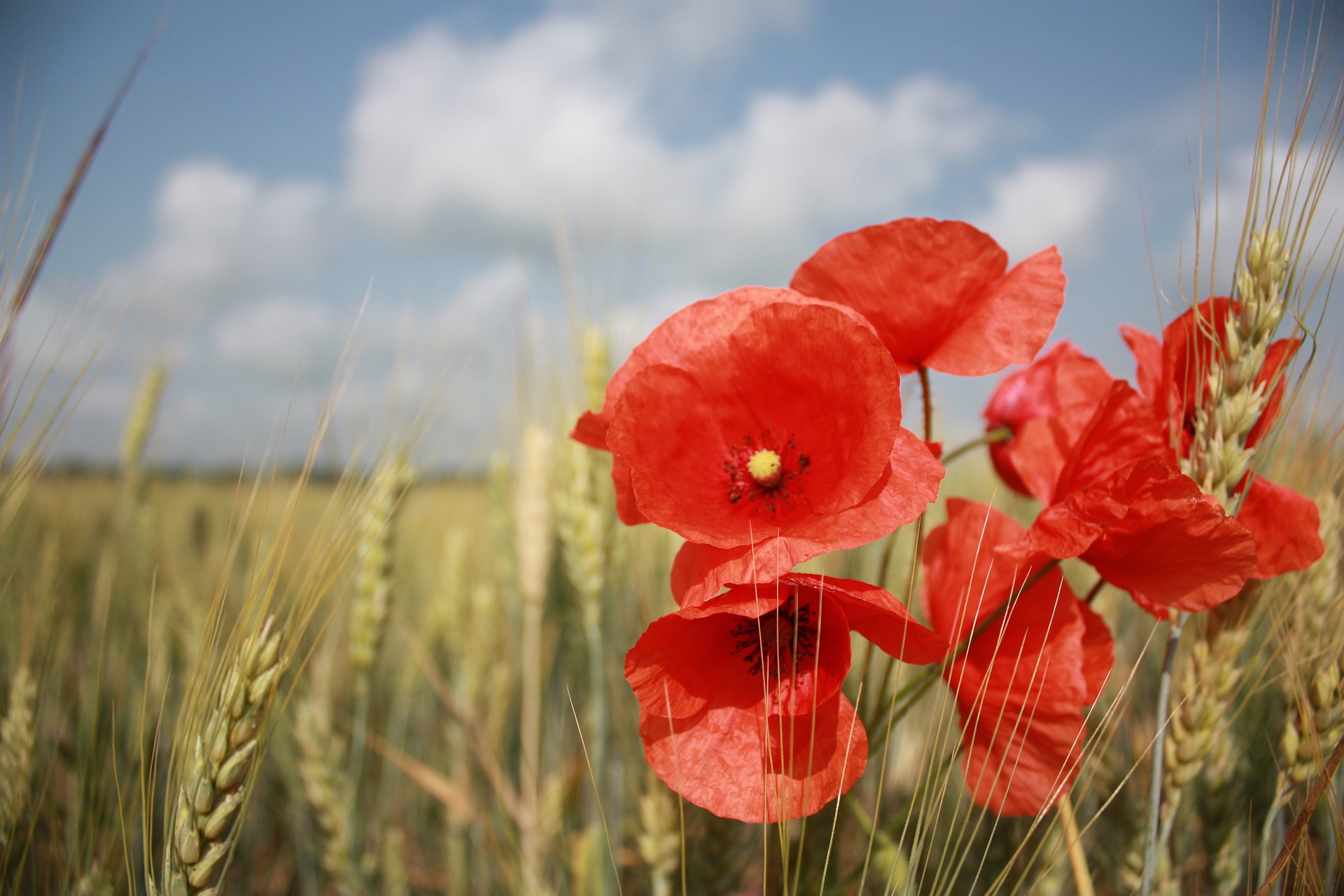 晩夏初秋商品が大活躍する３つの理由
