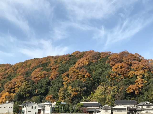 ゾゾスーツ（背広）が届いた